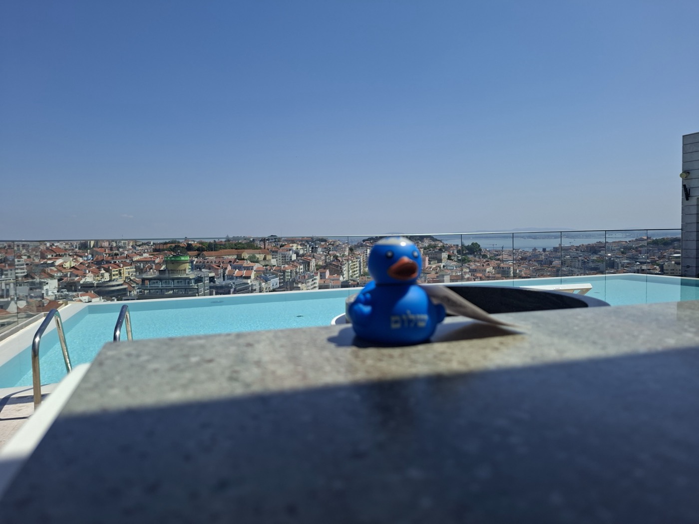 Epic duck — Lisbon, Portugal