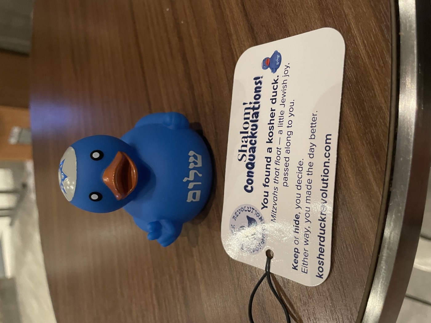 Kosher duck in Times Square — New York, USA